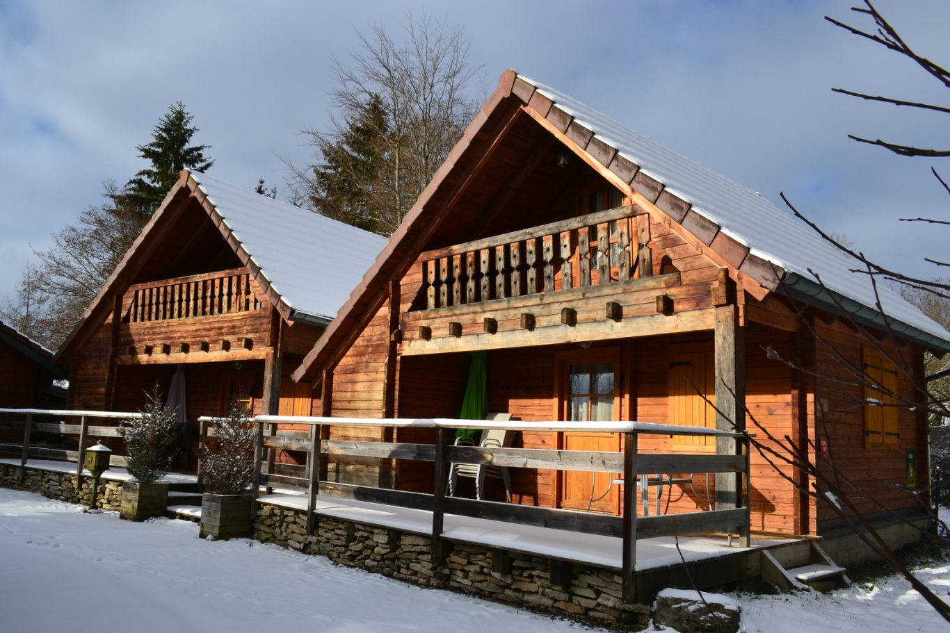 Sous la neige...